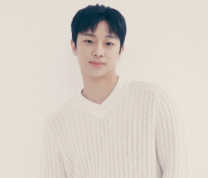 Kleyleのインタビューでもイシニョン(全体イメージ)